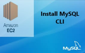 install mysql cli on ec2m instance