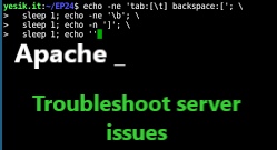 troubleshoot web server issues
